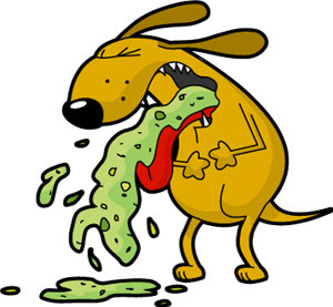 Dead Dog Vomit shot